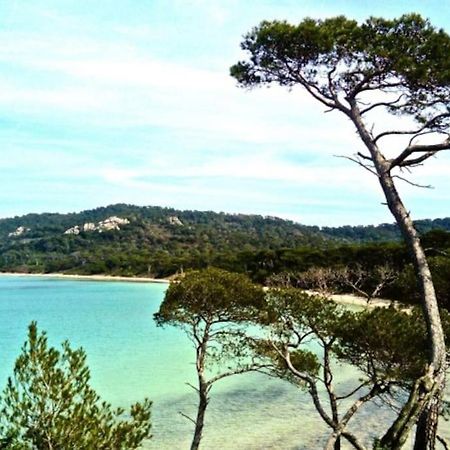 Ile De Porquerolles : T3 Climatise Vue Mer Εξωτερικό φωτογραφία