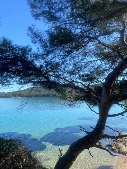 Ile De Porquerolles : T3 Climatise Vue Mer Εξωτερικό φωτογραφία