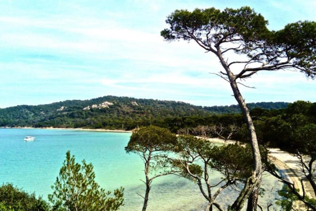 Ile De Porquerolles : T3 Climatise Vue Mer Εξωτερικό φωτογραφία